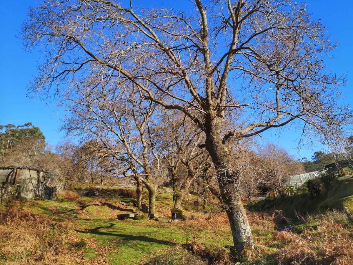 Hogar Gallan Gondomar Exteriör bild